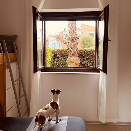 Casa Gio' Gio' Borgo San Basilio Apartment