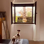 Casa Gio' Gio' Borgo San Basilio Apartment