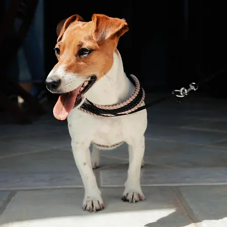 Casa Gio' Gio' Borgo San Basilio *