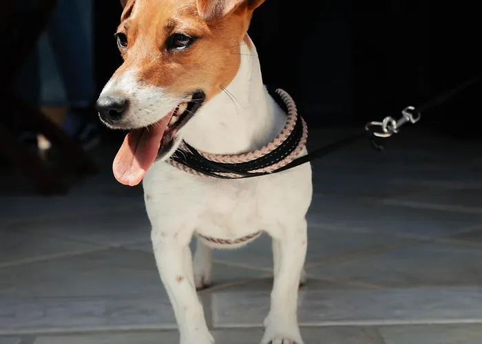 Casa Gio' Gio' Borgo San Basilio *